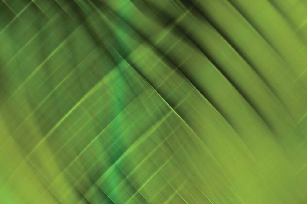 Tie Dye IV art print by PI Studio for $57.95 CAD