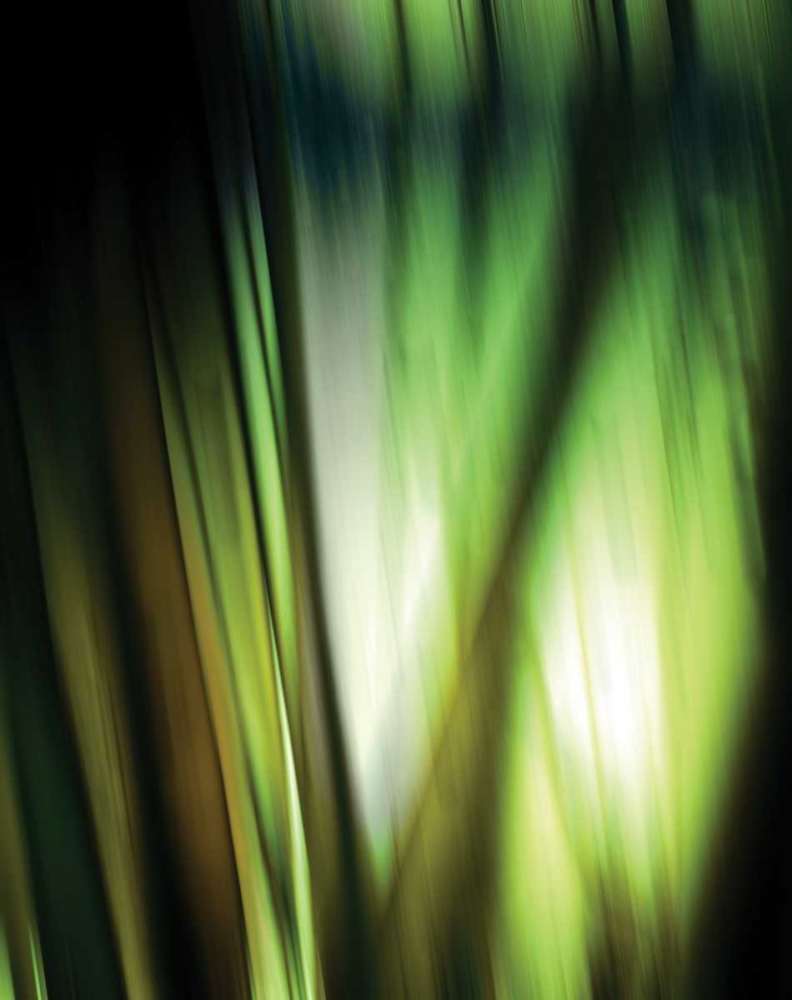 Organic I art print by PI Studio for $57.95 CAD