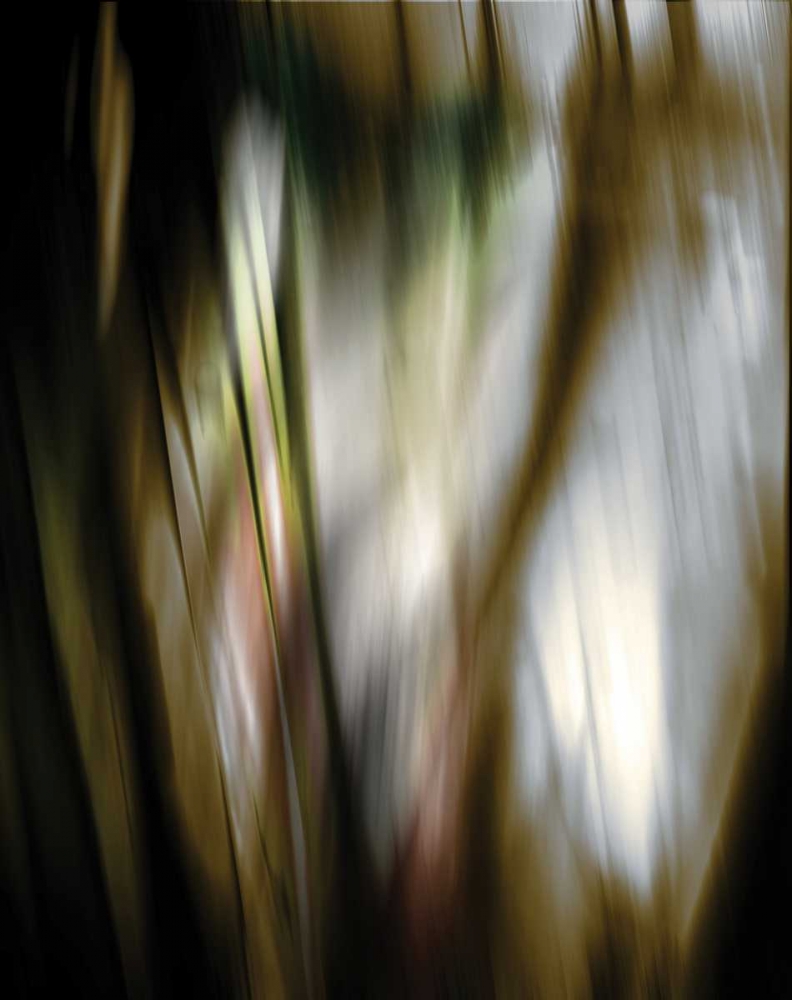 Organic III art print by PI Studio for $57.95 CAD
