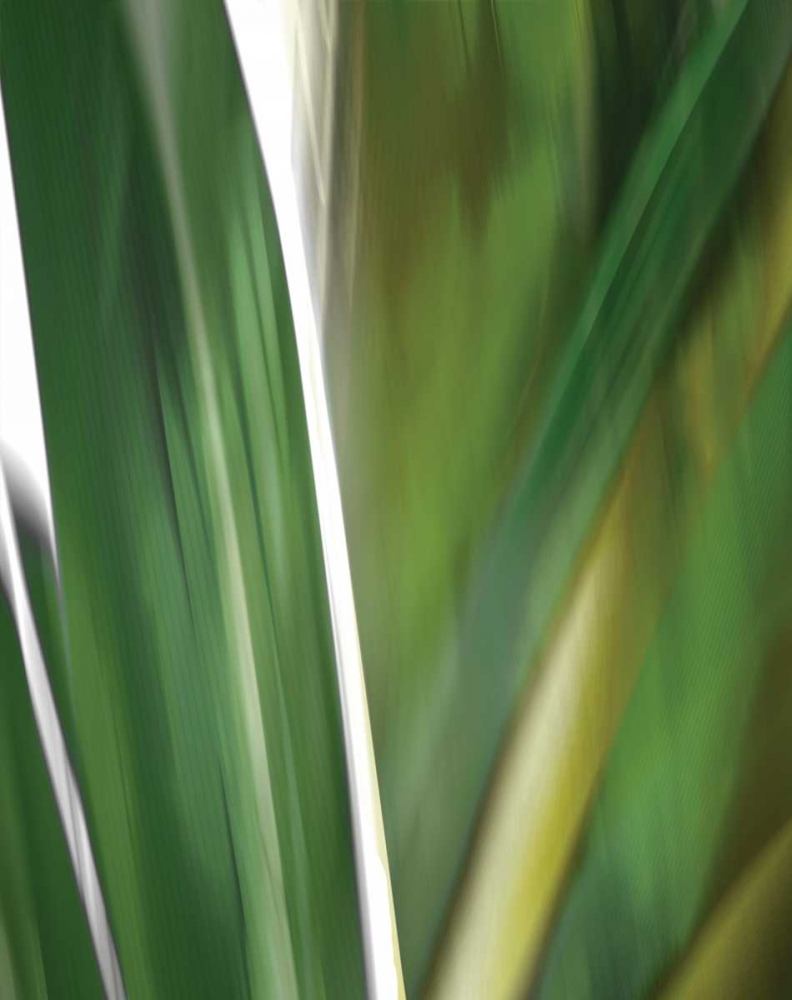 Organic IV art print by PI Studio for $57.95 CAD