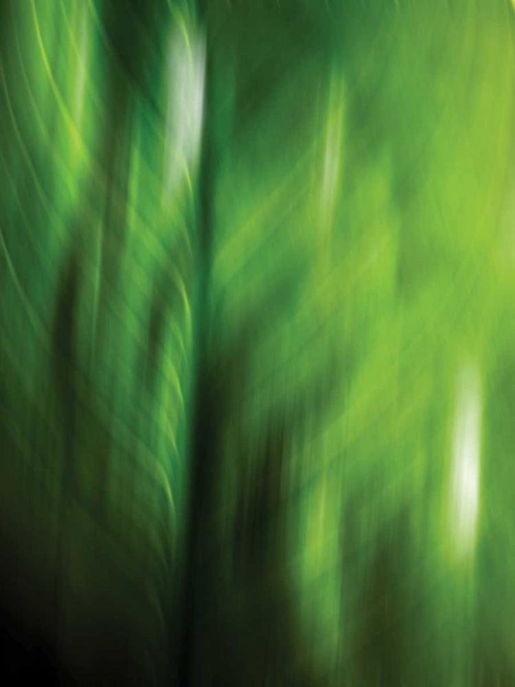Organic V art print by PI Studio for $57.95 CAD