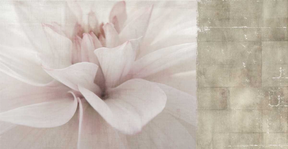 Softness art print by PI Studio for $57.95 CAD