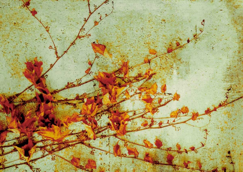 Persimmon art print by PI Studio for $57.95 CAD