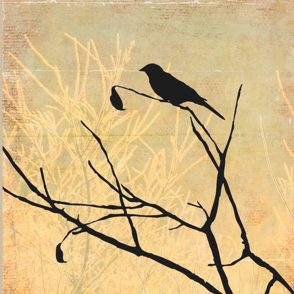 Perched art print by PI Studio for $57.95 CAD