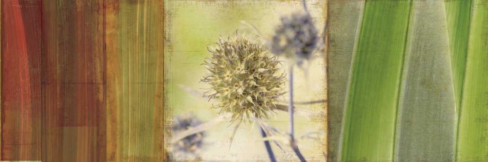 Organics art print by PI Studio for $57.95 CAD