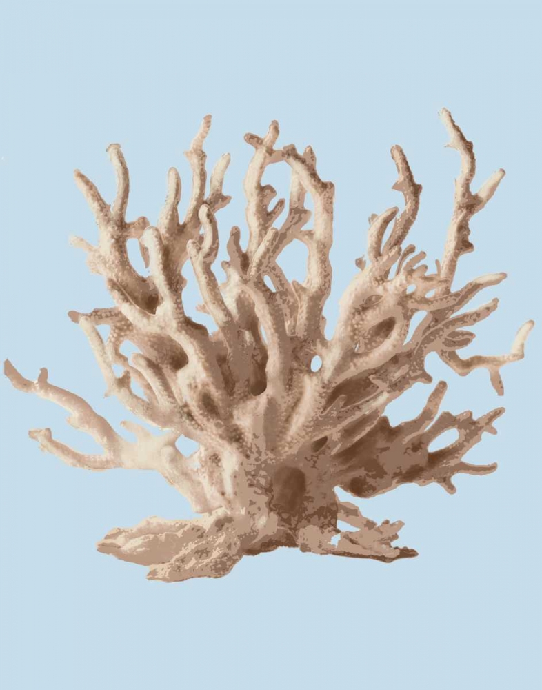 Coral II art print by PI Studio for $57.95 CAD
