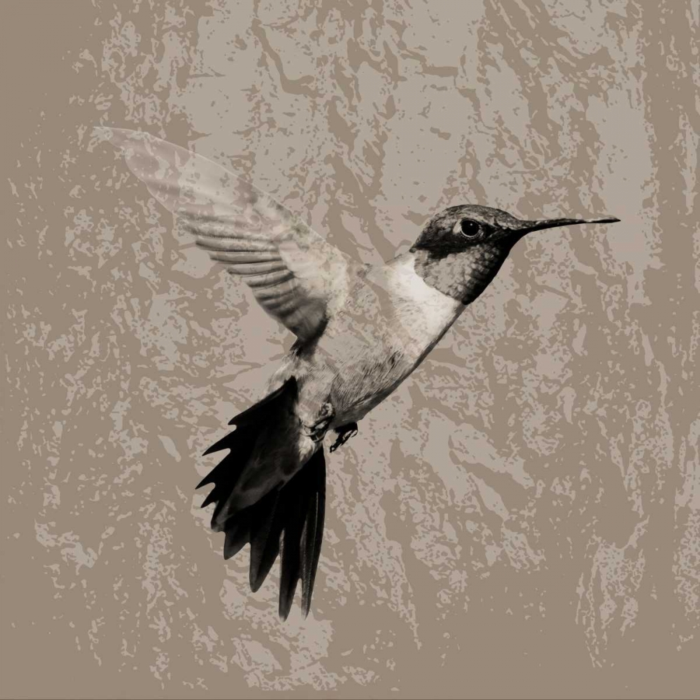 Feathered I art print by PI Studio for $57.95 CAD