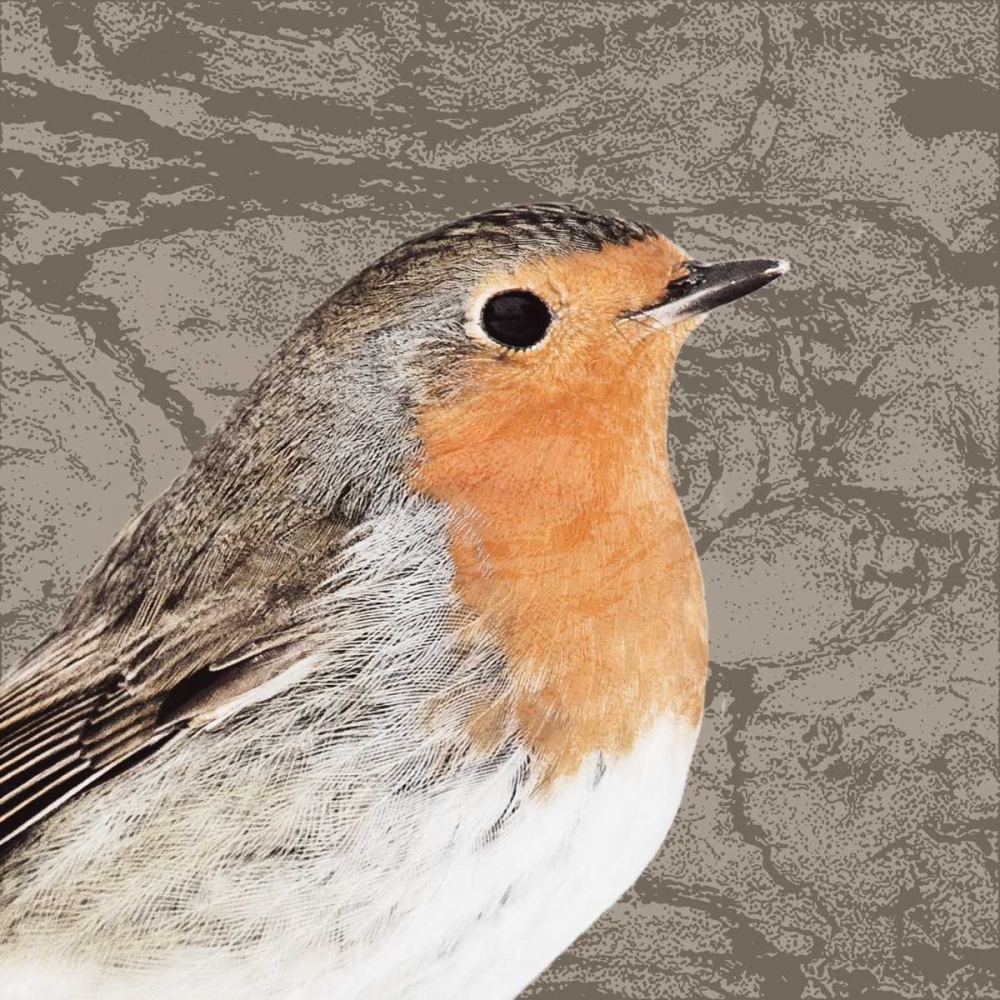 Feathered V art print by PI Studio for $57.95 CAD