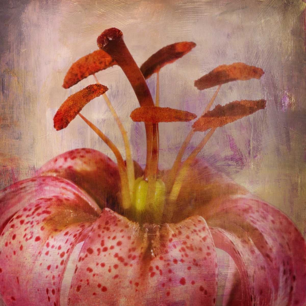 LOVELY LILY I art print by PI Studio for $57.95 CAD