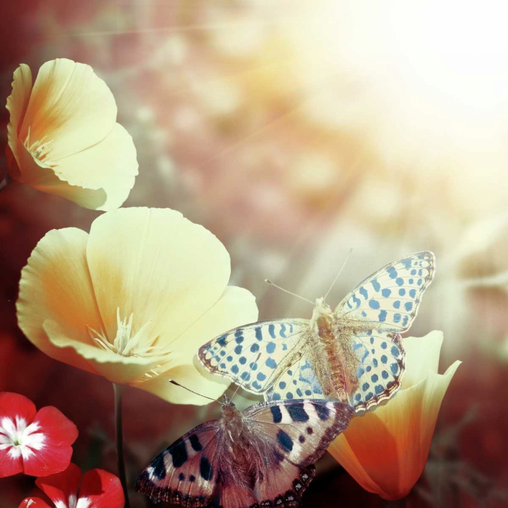 Sunbeam art print by PI Studio for $57.95 CAD