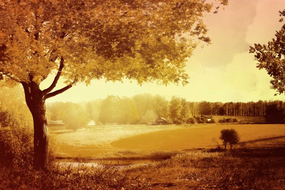 Golden Country art print by PI Studio for $57.95 CAD