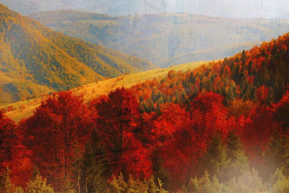 Crimson Country art print by PI Studio for $57.95 CAD