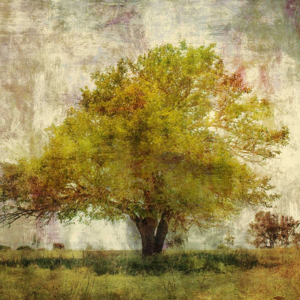 Vintage Tree art print by PI Studio for $57.95 CAD