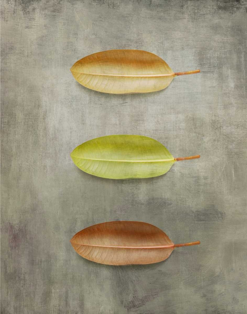 STUDY II art print by PI Studio for $57.95 CAD