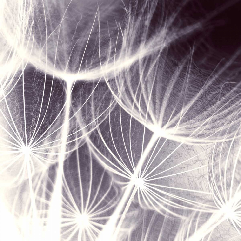 Blown Away art print by PI Studio for $57.95 CAD