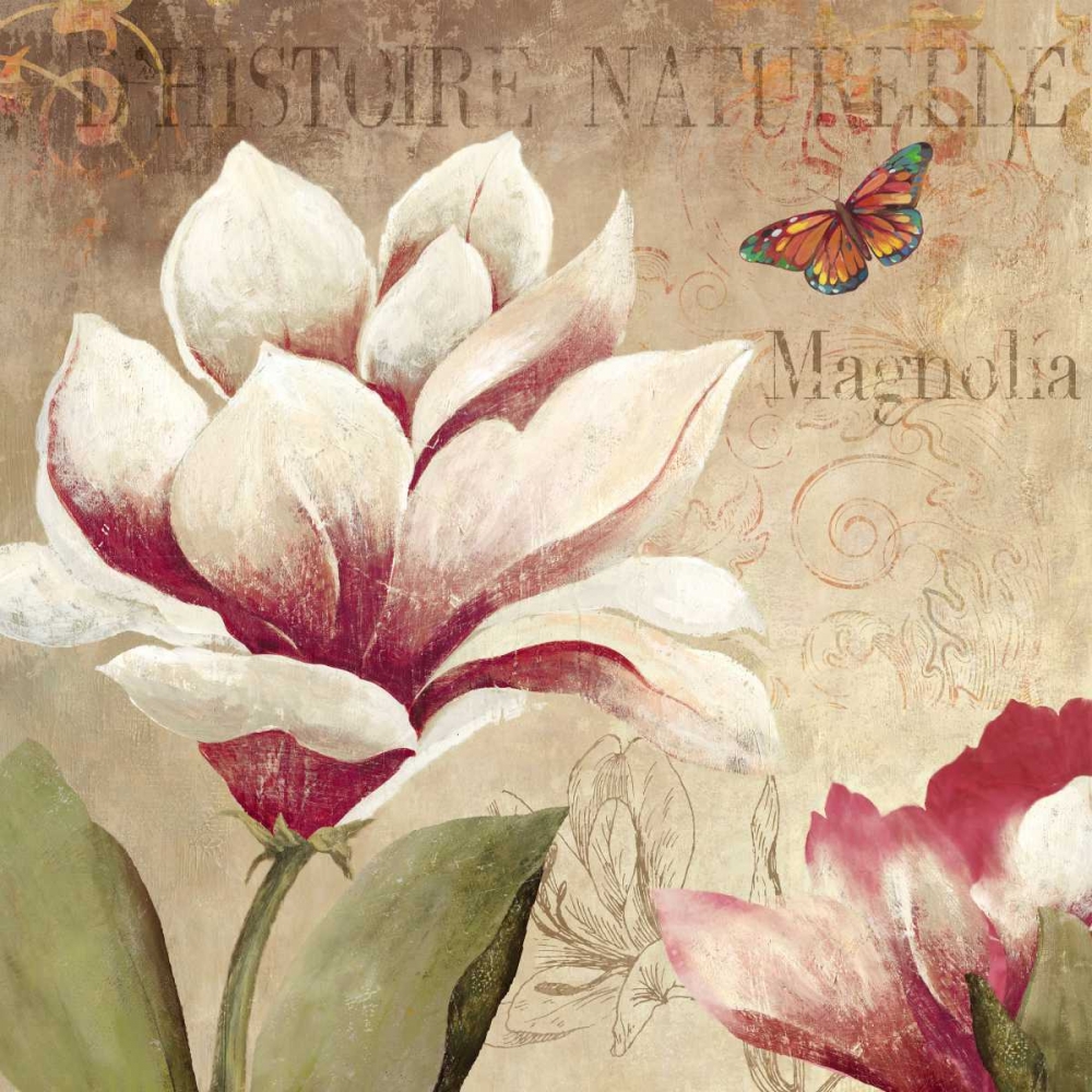 Magnolia art print by PI Studio for $57.95 CAD