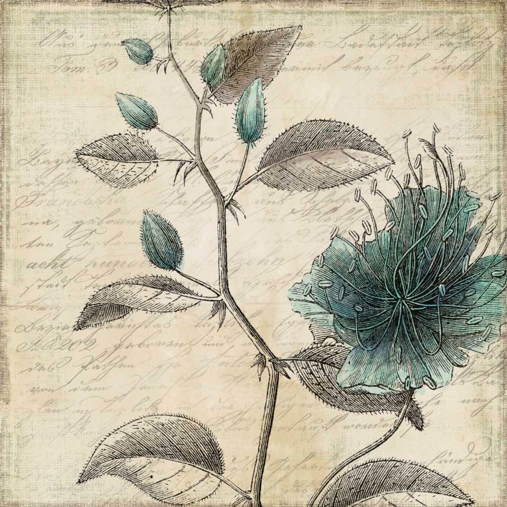 Blue Bird II art print by PI Studio for $57.95 CAD