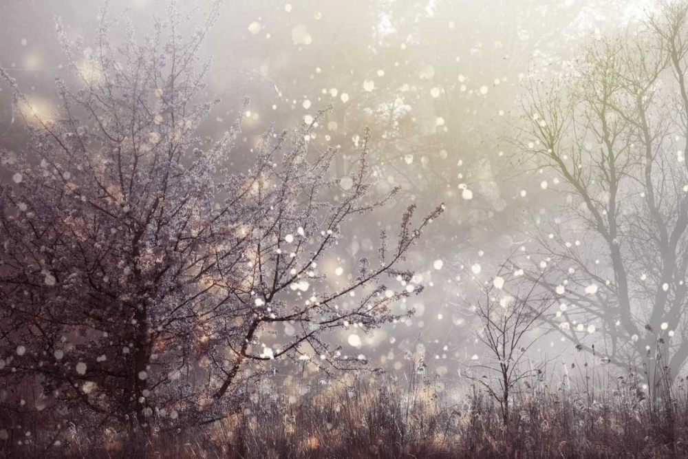 Atmospheric I art print by PI Studio for $57.95 CAD
