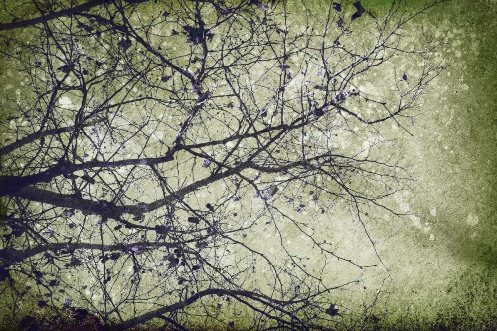 Atmospheric II art print by PI Studio for $57.95 CAD