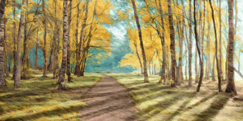 Pathfinder art print by PI Studio for $57.95 CAD