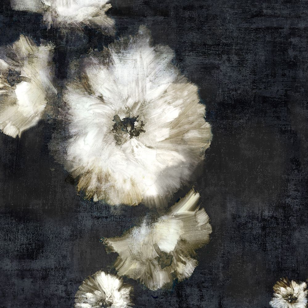 Dramatic Floral I art print by Jacob Q for $57.95 CAD