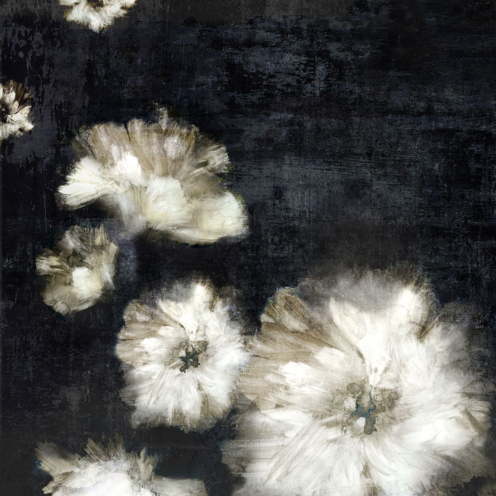 Dramatic Floral II art print by Jacob Q for $57.95 CAD