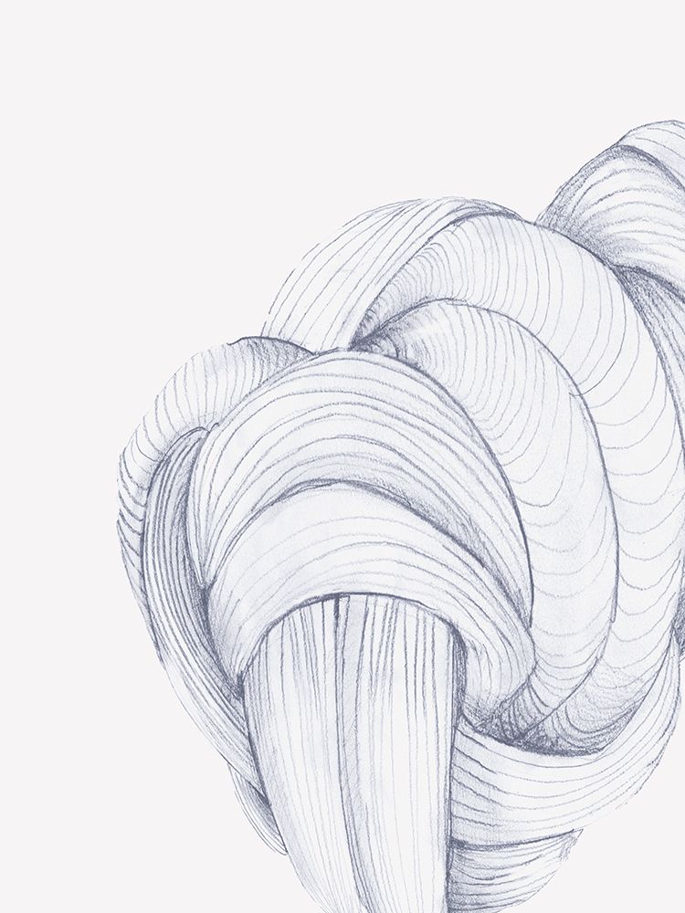 Roped In II art print by PI Studio for $57.95 CAD