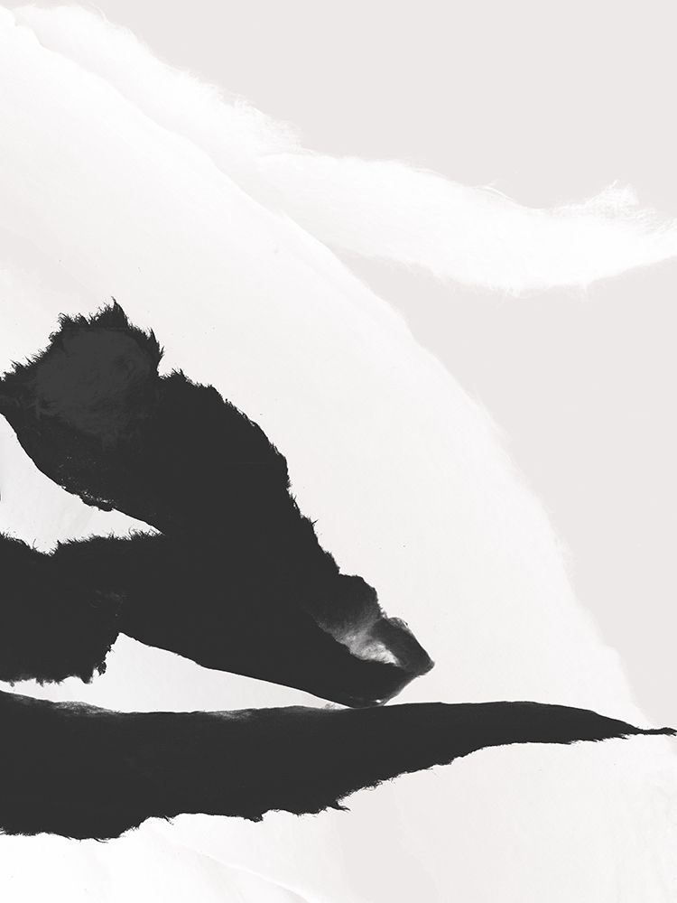 Shadow Stroke II art print by PI Studio for $57.95 CAD