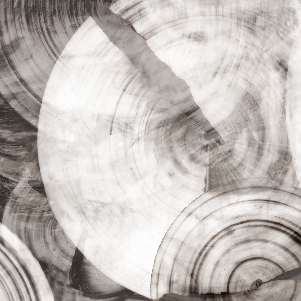 Timeless Rings I art print by PI Studio for $57.95 CAD