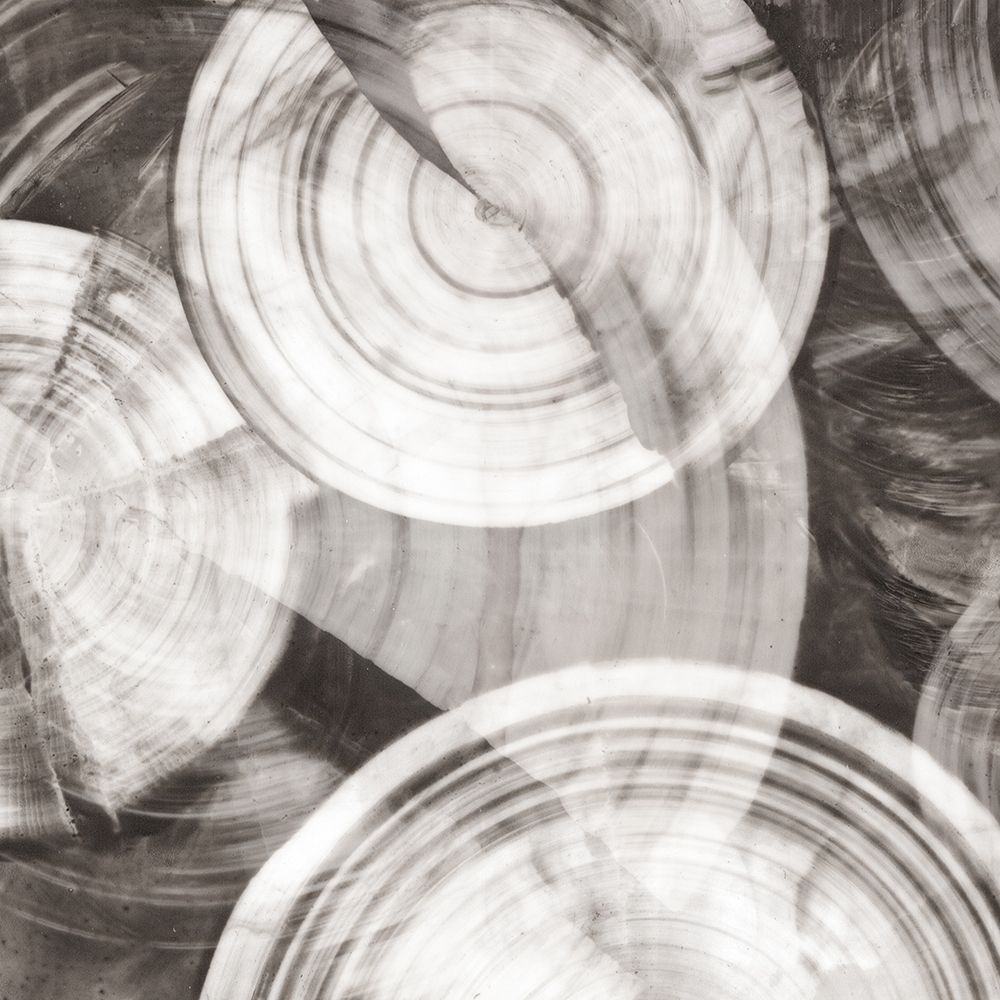 Timeless Rings II art print by PI Studio for $57.95 CAD