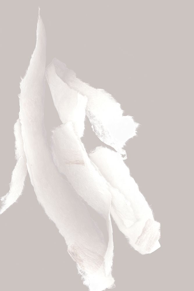 Whispering Paper I art print by PI Studio for $57.95 CAD