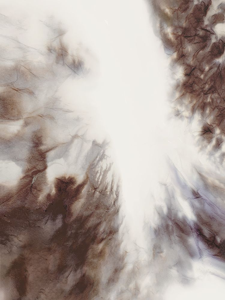 Gentle Whispers of Nature I art print by PI Studio for $57.95 CAD
