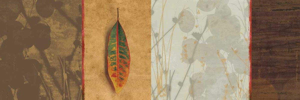 Leaf Song art print by Allison Pearce for $57.95 CAD