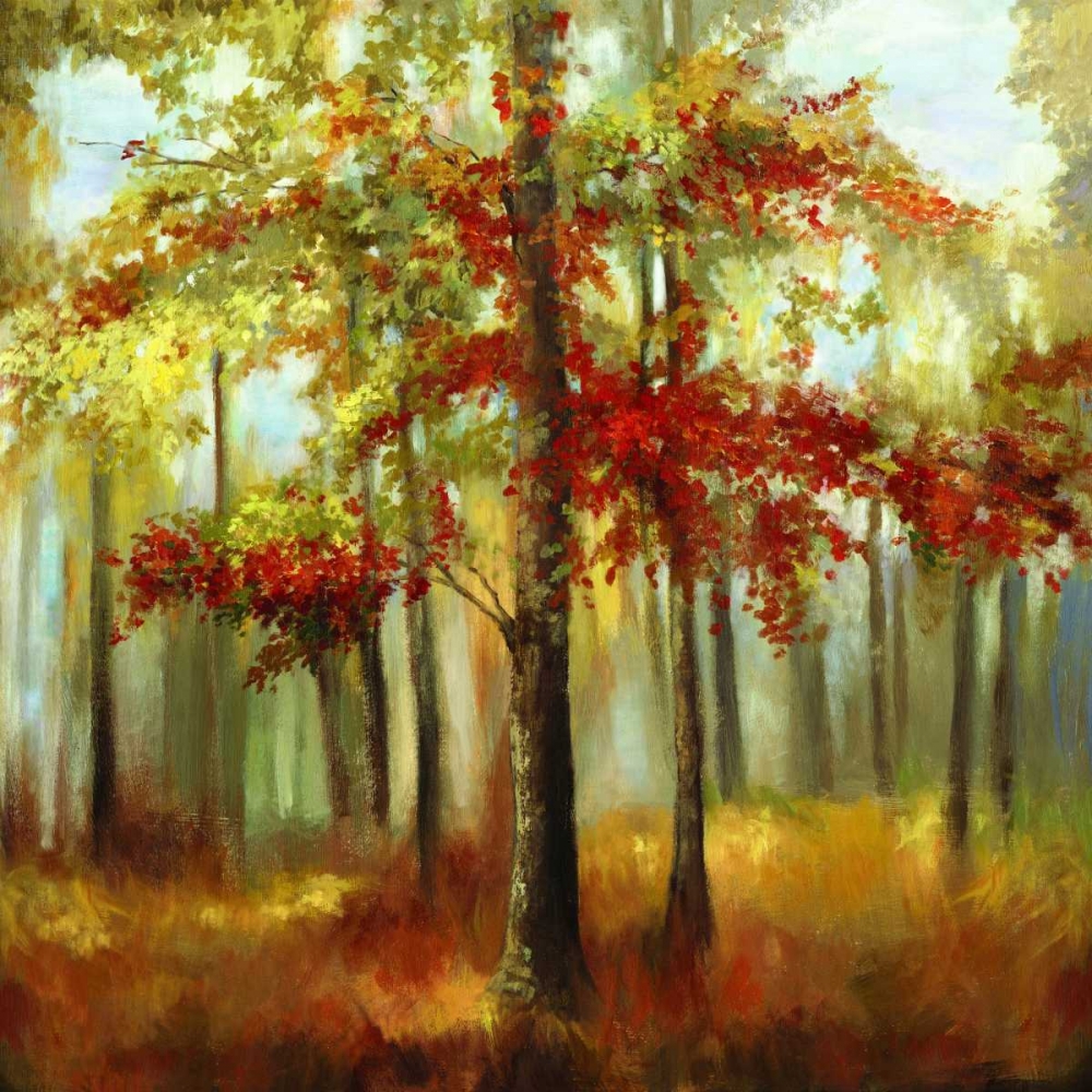 Soft Light art print by Allison Pearce for $57.95 CAD