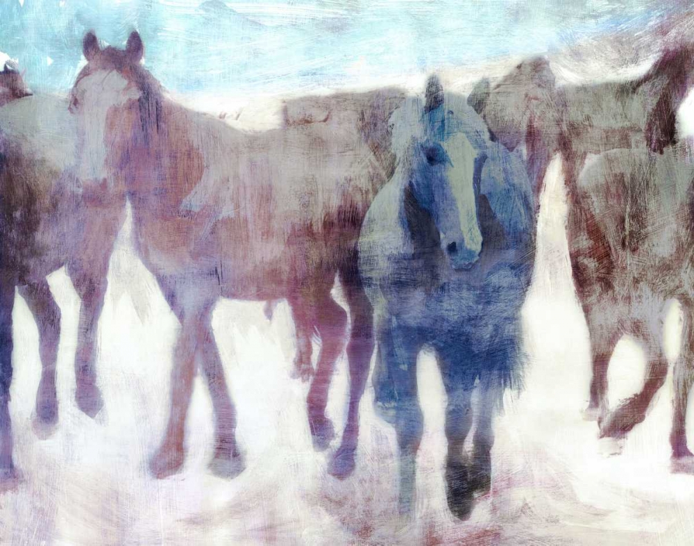 Calgary Stampede art print by PI Galerie for $57.95 CAD