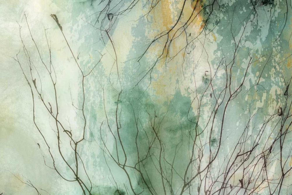 Branches II art print by PI Galerie for $57.95 CAD