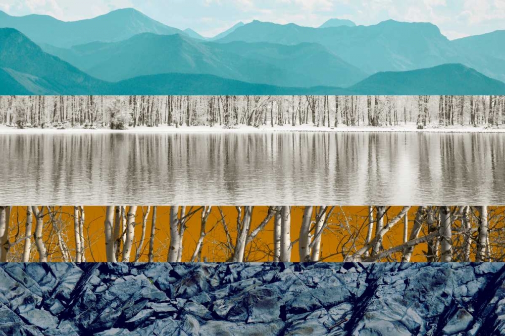 Nature Collage II art print by PI Studio for $57.95 CAD