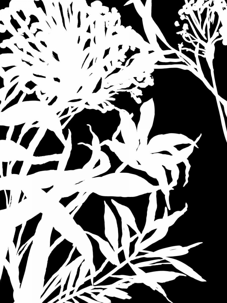 Monochrome Foliage III art print by PI Studio for $57.95 CAD