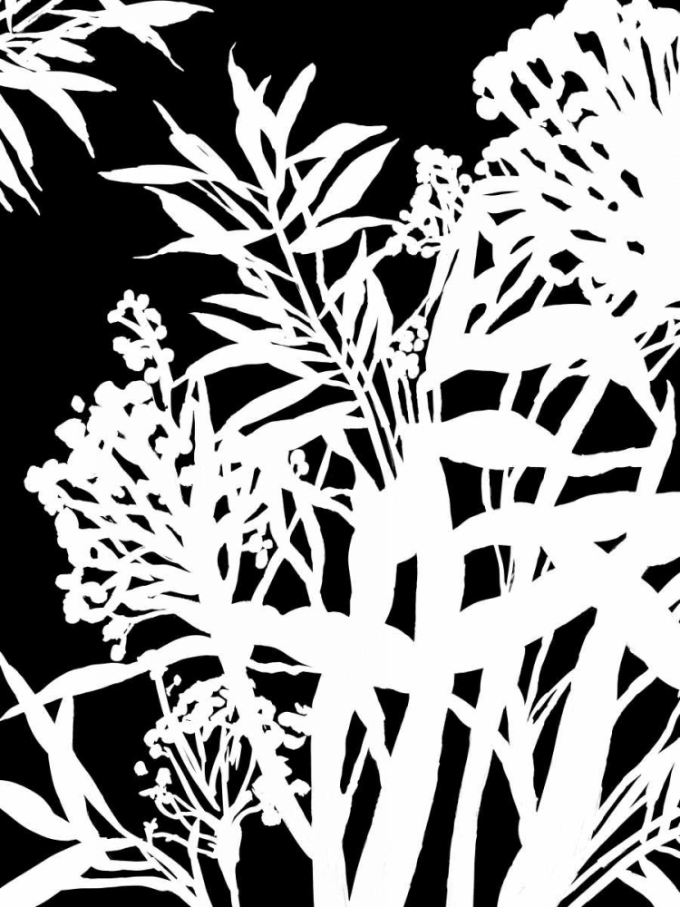 Monochrome Foliage IV art print by PI Studio for $57.95 CAD