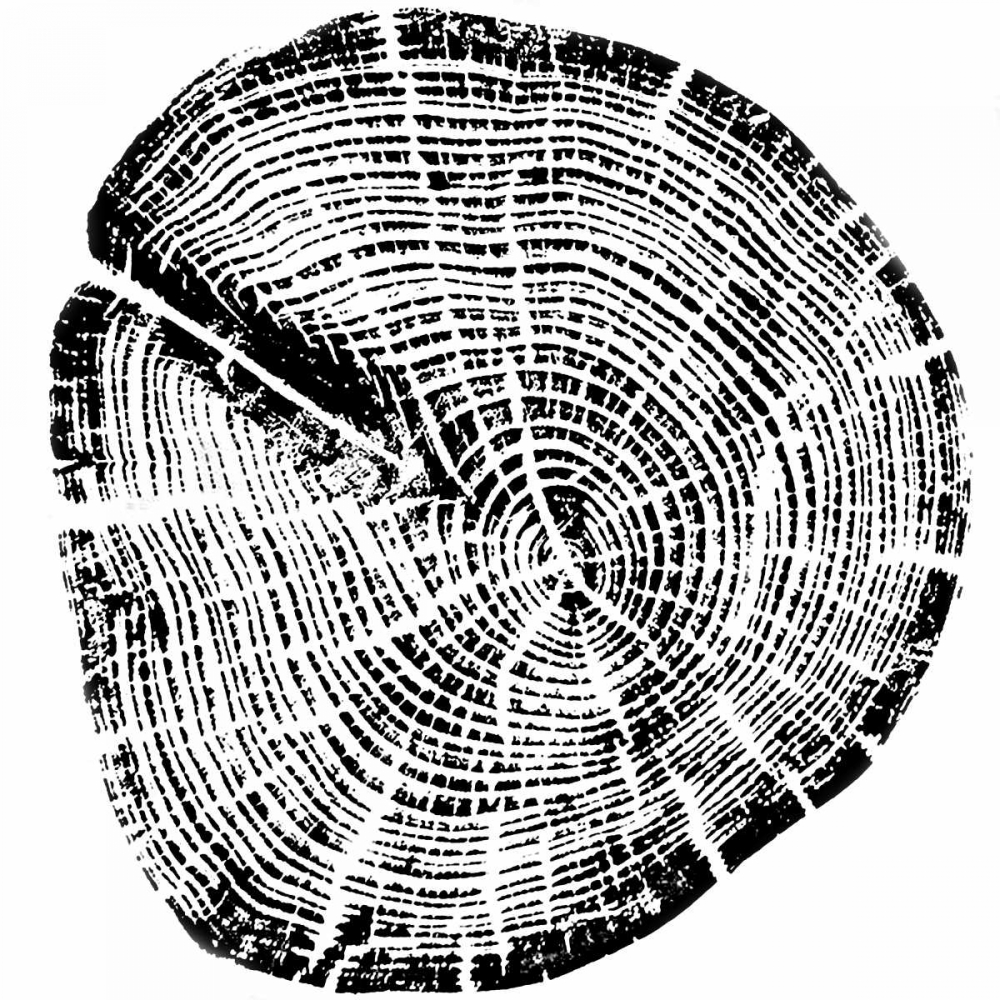 Wood Grain art print by PI Studio for $57.95 CAD