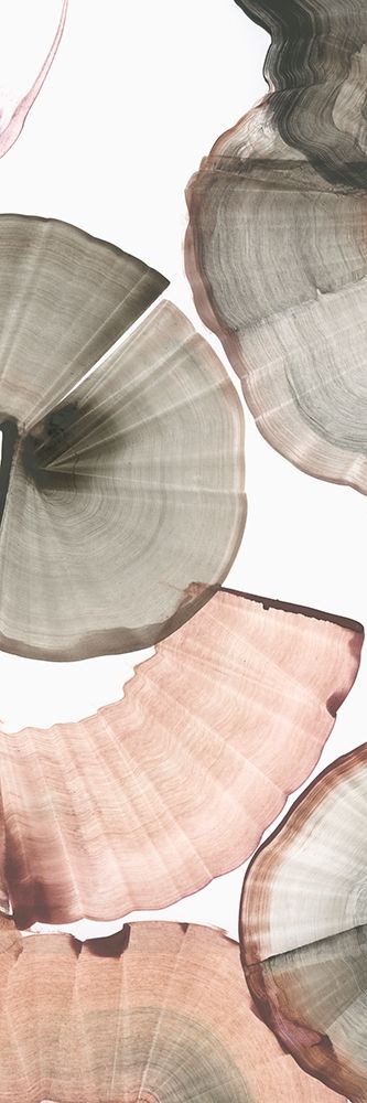 Rotating II art print by PI Studio for $57.95 CAD