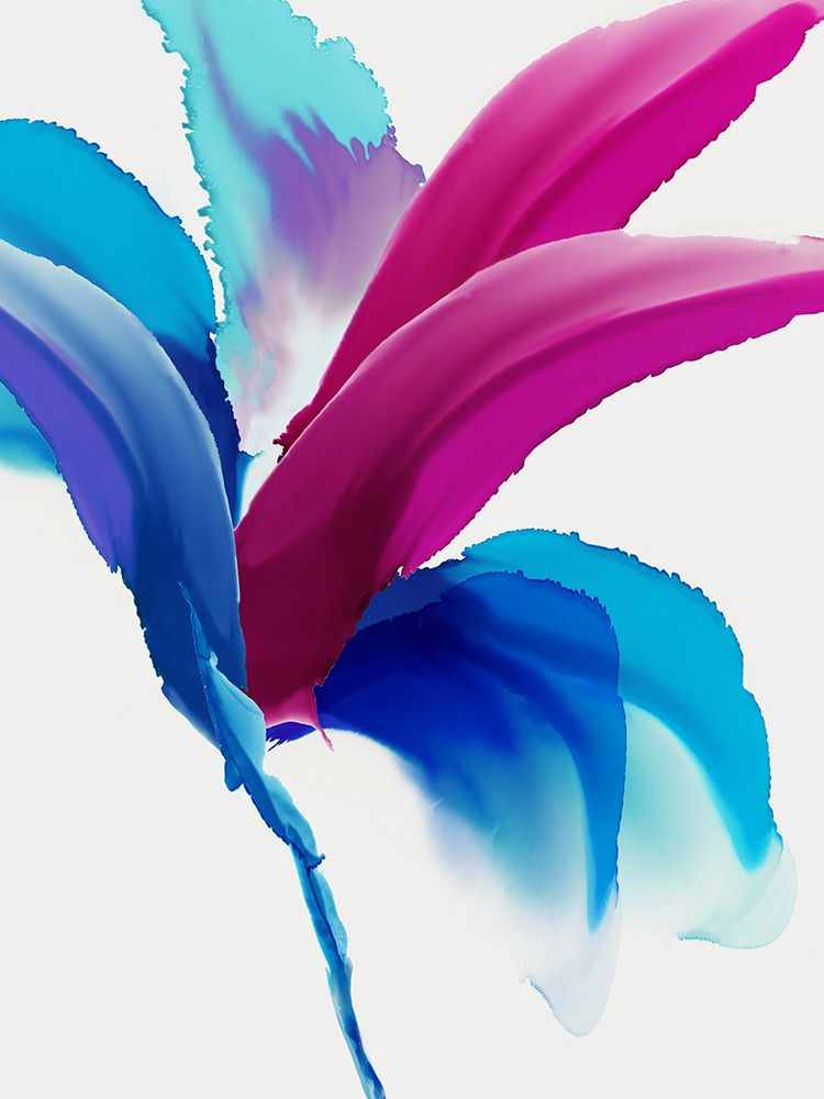 Magenta Bird of Paradise art print by PI Studio for $57.95 CAD