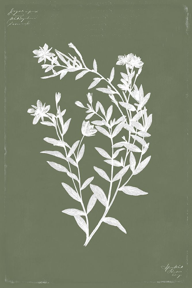 Botanical Garden III art print by PI Studio for $57.95 CAD