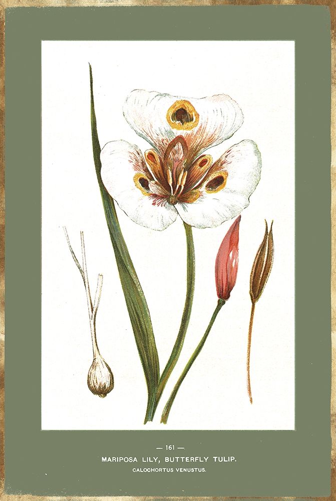Green Botanics IV art print by PI Studio for $57.95 CAD