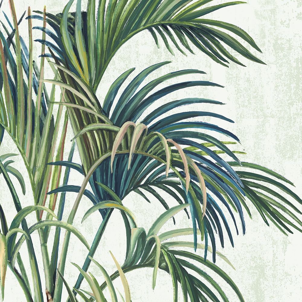 Tropical Wind I art print by PI Studio for $57.95 CAD