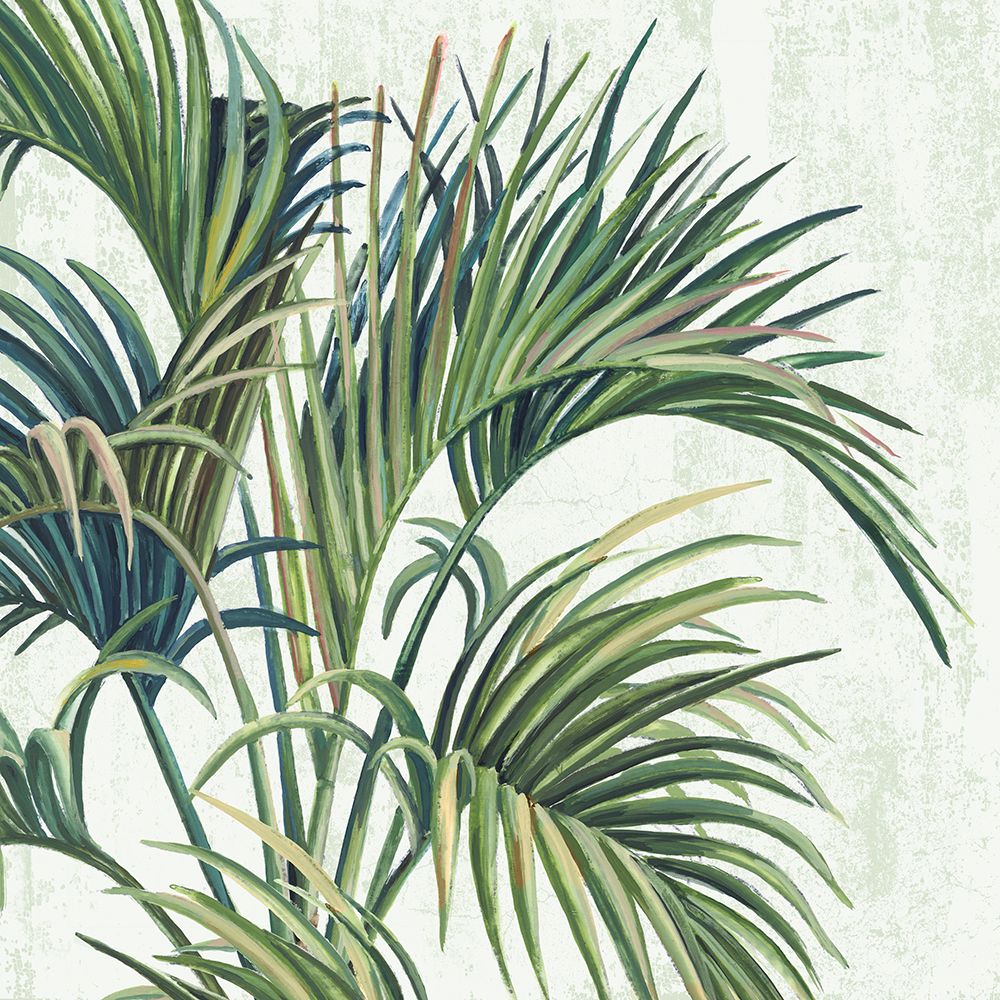 Tropical Wind II art print by PI Studio for $57.95 CAD