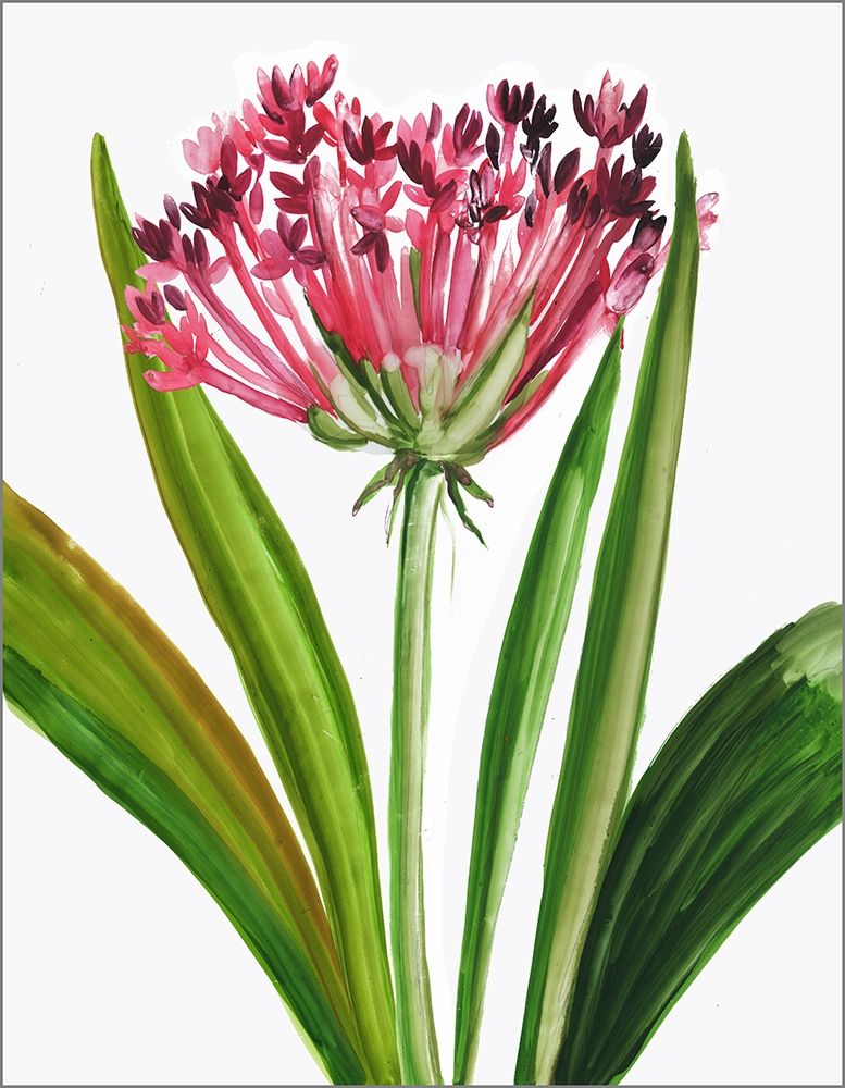 Blooming Pink art print by Pi Studio for $57.95 CAD