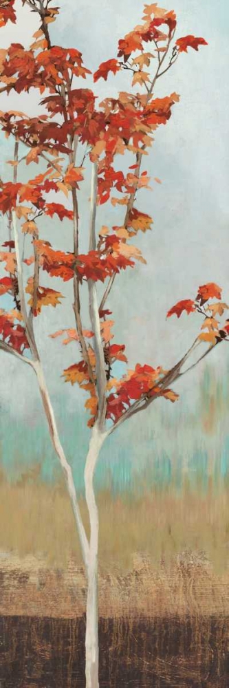 Maple Tree II art print by Allison Pearce for $57.95 CAD