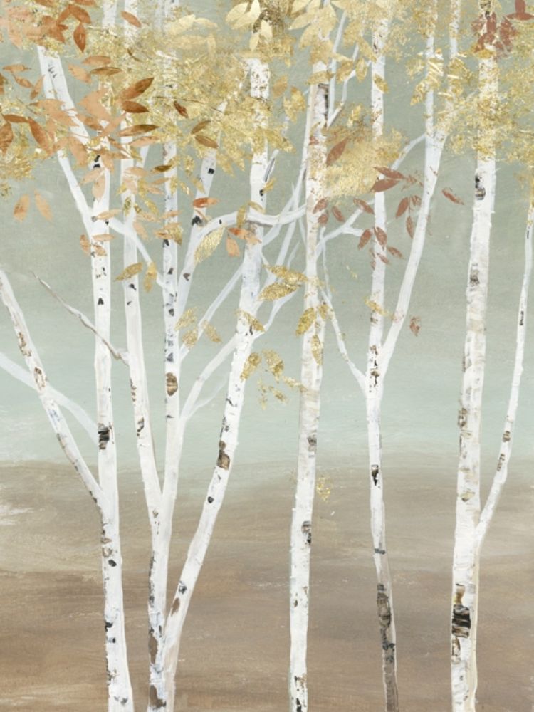 Golden Birch art print by Allison Pearce for $57.95 CAD
