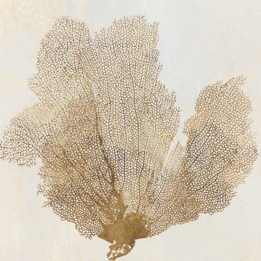 Gold Coral II art print by PI Galerie for $57.95 CAD